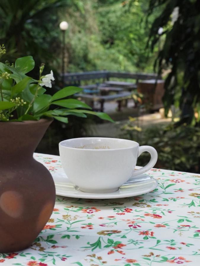 Chomklong Experience Bed & Breakfast Pakchong Luaran gambar