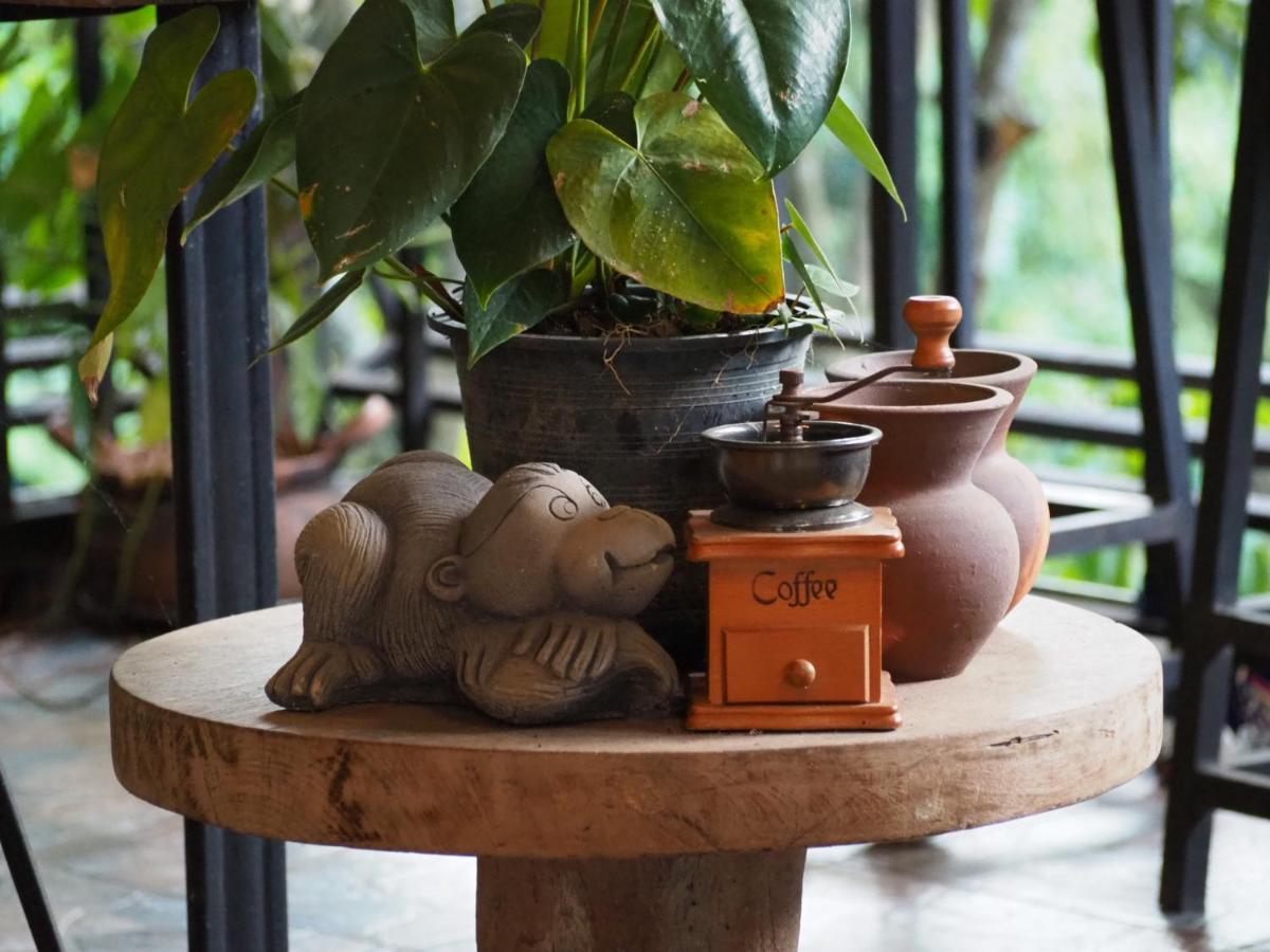 Chomklong Experience Bed & Breakfast Pakchong Luaran gambar