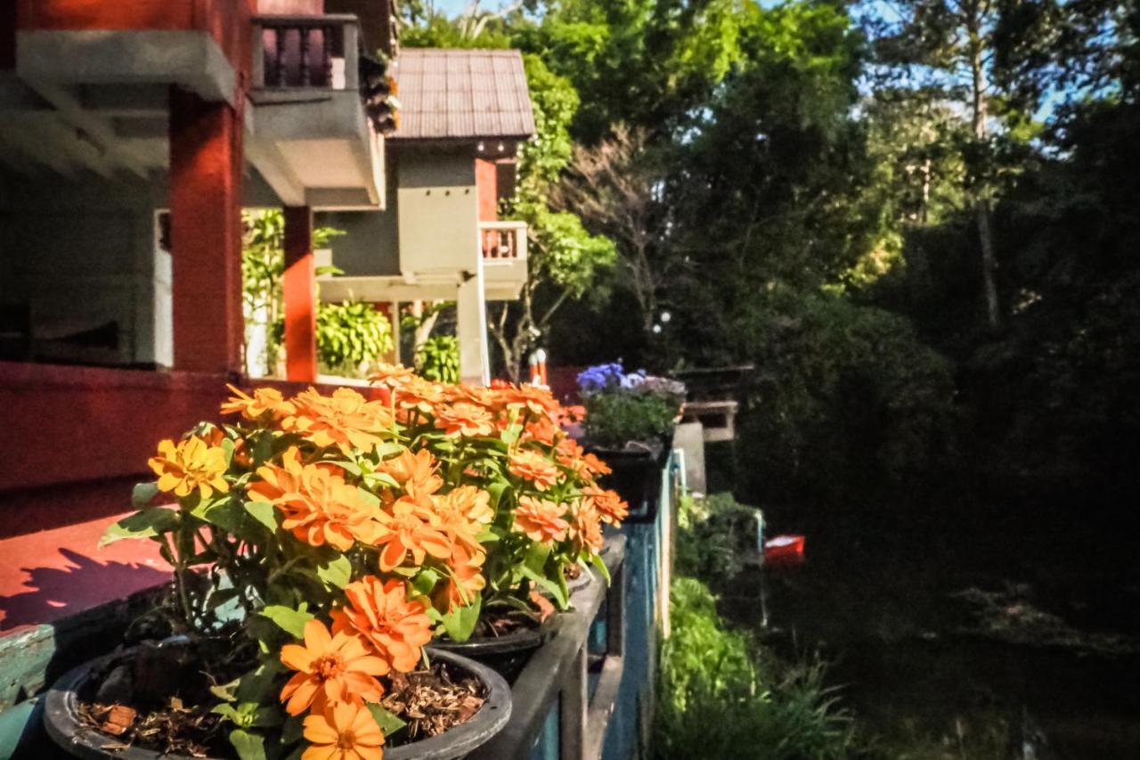 Chomklong Experience Bed & Breakfast Pakchong Luaran gambar